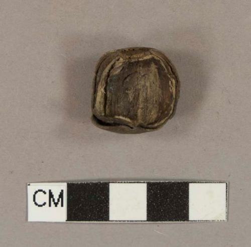 Nut shell fragment