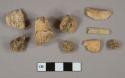 Unidentified bone fragment, likely mammal