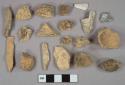 Unidentified bone fragment, likely mammal, Unidentified shell fragments