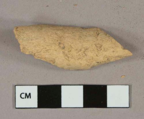 Unidentified bone fragment, likely mammal