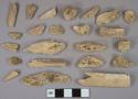 Unidentified bone fragments, likely mammal, 3 tooth fragments, 3 stone fragments, 1 undecorated lead glaze whiteware vessel body fragment