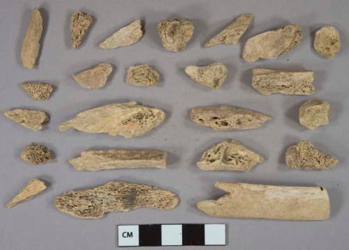 Unidentified bone fragments, likely mammal, 3 tooth fragments, 3 stone fragments, 1 undecorated lead glaze whiteware vessel body fragment