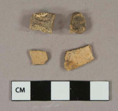 Bone fragments, likely mammal