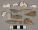 Bone fragments, 6 shell fragments