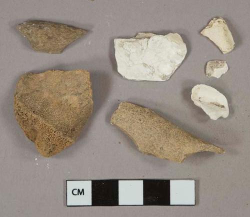 Bone fragments, likely mammal, 4 shell fragments