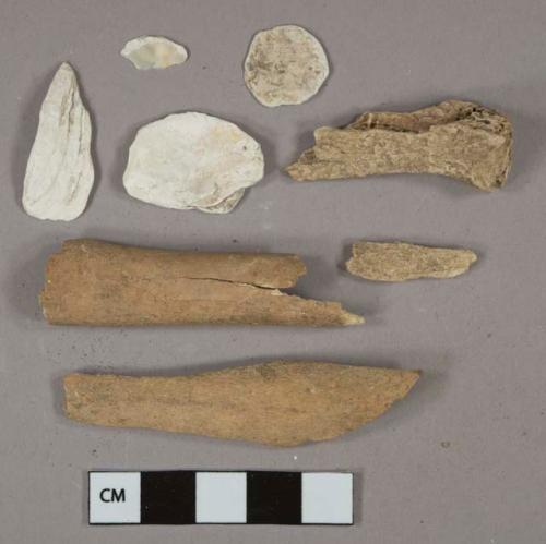 Bone fragments, likely mammal, 5 shell fragments