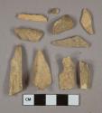 Bone fragments, likely mammal