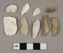 Shell fragments, 5 bone fragments, 1 fish