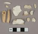 Shell fragments, 2 bone fragments