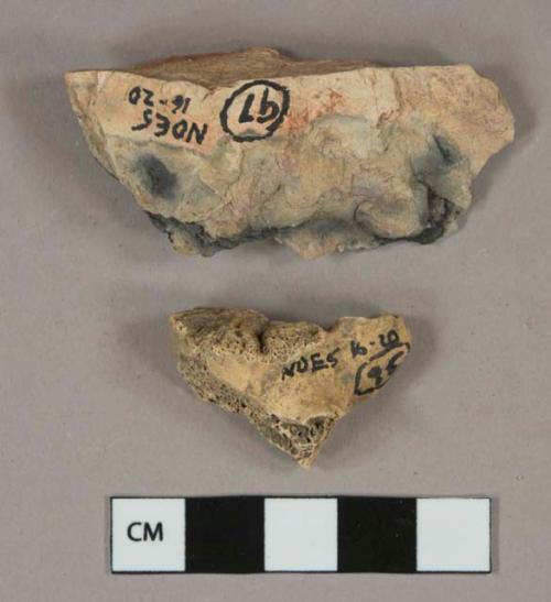 1 Bone fragment, likely mammal, 1 stone fragment