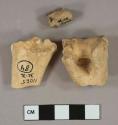 Bone fragments, likely mammal