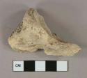 Bone fragments, likely mammal