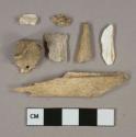 Bone fragments, 3 shell fragments