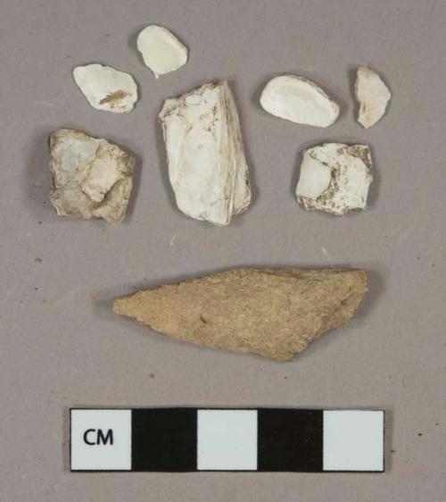 Shell fragments, 1 bone fragment