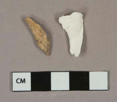 1 Shell fragment, 1 bone fragment