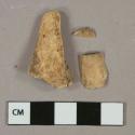 Bone fragments, likely mammal, 1 wood fragment