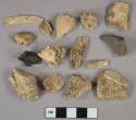 Bone fragments, 4 stone fragments, 3 shell fragments