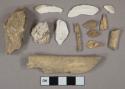 Bone fragments, 6 shell fragments