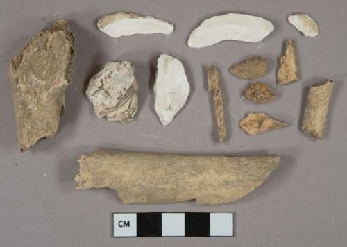 Bone fragments, 6 shell fragments