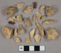 Bone fragments, 3 shell fragments, 18 unidentified ferrous metal fragments