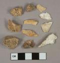 Bone fragments, 4 shell fragments