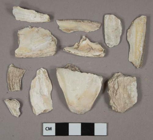 Shell fragments, 1 tooth fragment, 1 stone fragment, 1 undecorated white lead glazed earthenware fragment