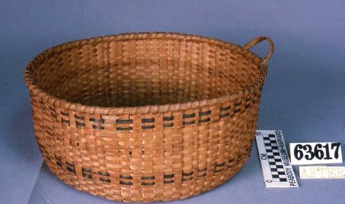 Splint basket