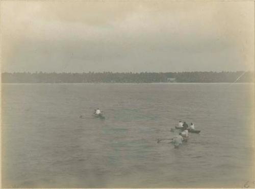 People in canoes, shoreline in background