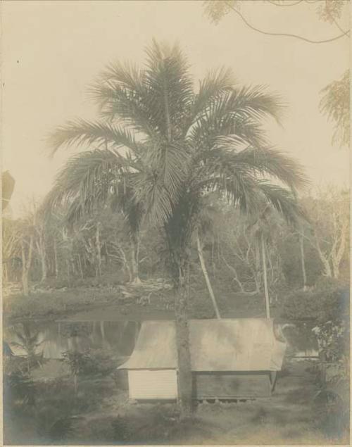 Wooden building on shore