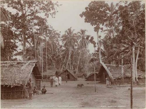 People and pigs standing between houses in the village of Madoa