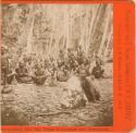 Group of people with baskets sitting under coconut palms