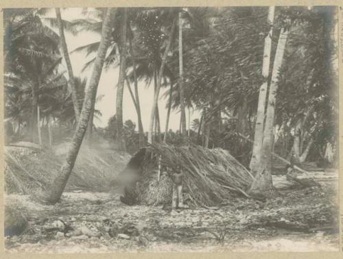 Boy standing in front of hut