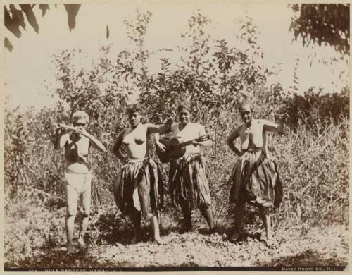 Two hula dancers, one person playing a string instrument, man playing flute