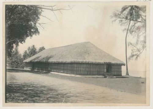 Long thatched structure