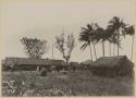 Group of people in front of long thatched structure