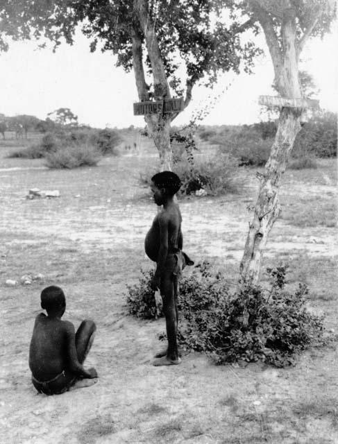 Two boys next to trees with signs, "Motors Only" and "Okakuwisa"