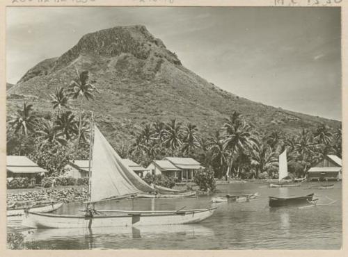 Shoreline with a view of houses and sailboats