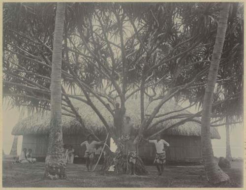 Men in tree in front of building with thatched roof