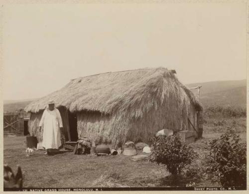 Person and cat in front of grass house