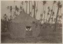 Two women looking out window of grass house