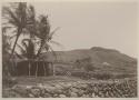 Heiau, or temple, and wooden structures