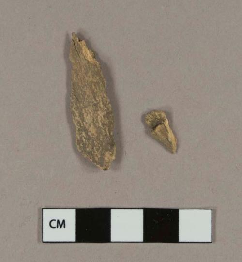 Animal bone fragments; two fragments crossmend