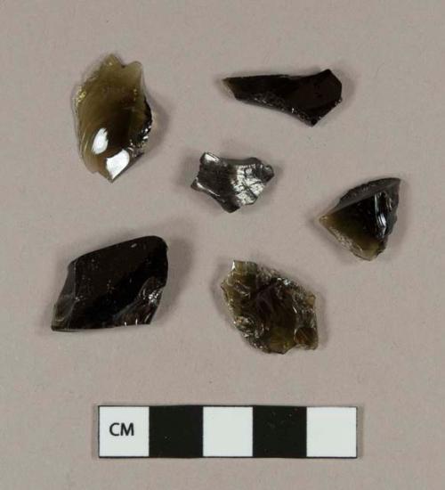 Olive green bottle glass fragments; coal fragment