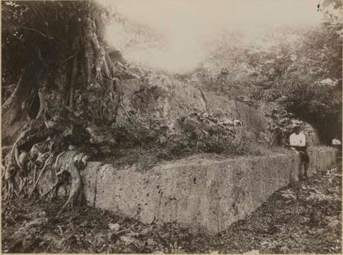 Man sitting at the Tu'i Tonga (royal) tombs of Lapaha in the village of Mu'a, near Nuku'alofa, Tonga