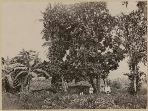 Men, trees, small buildings