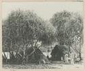 Men and two buildings under trees