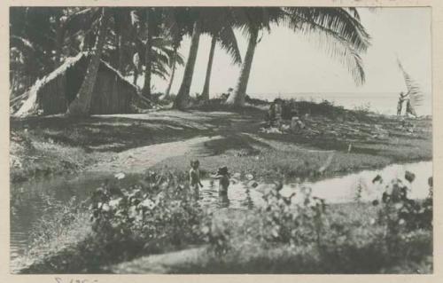 Children play in creek, people sit in shade, man moves large palm frond