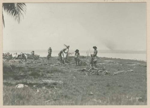 Men working with palm fronds