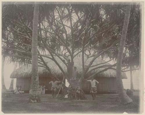 Men in tree in front of building; women, child, and dog in background