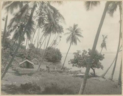 Small structures, men, and outrigger canoe on shoreline